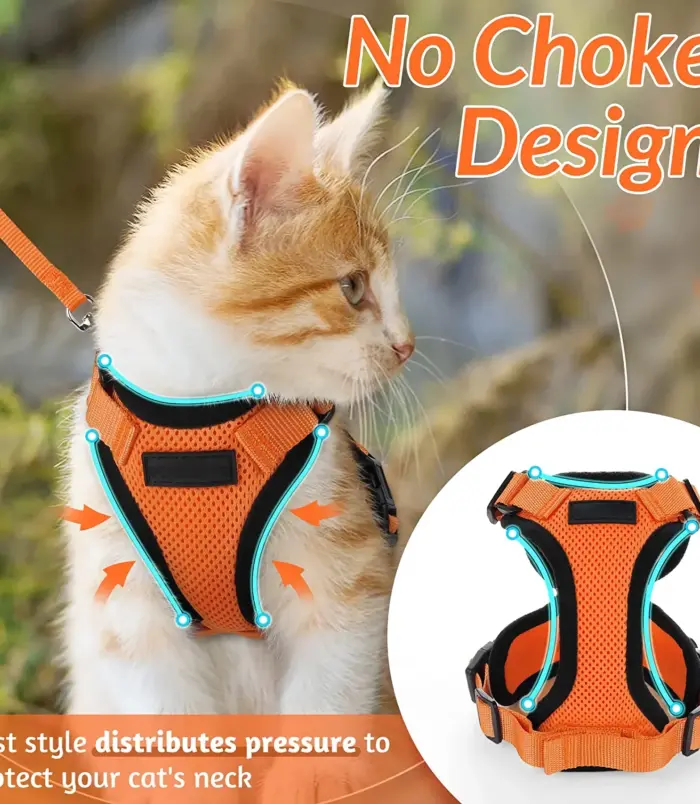 0093c403b40fee1de1e2d2de34c86b2d.webp 0093c403b40fee1de1e2d2de34c86b2d.webp