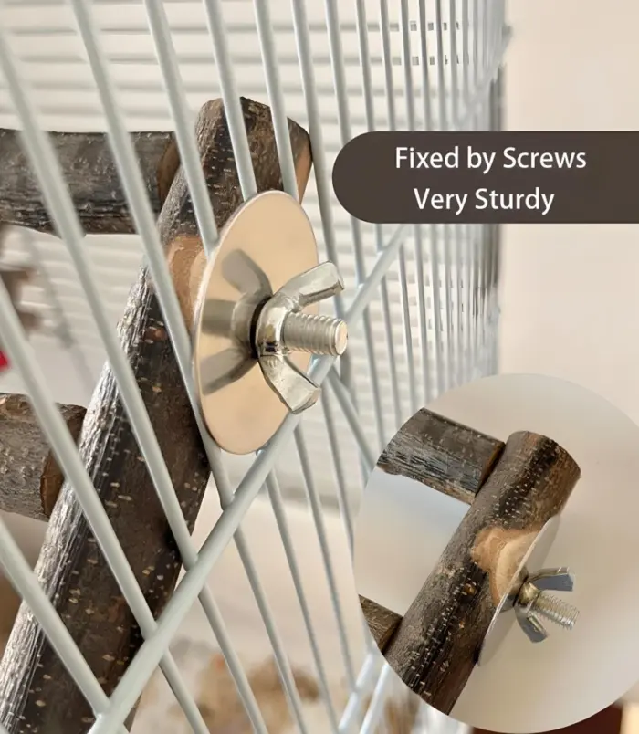 0bb841023a74315aa62bb993276613d4.webp 0bb841023a74315aa62bb993276613d4.webp