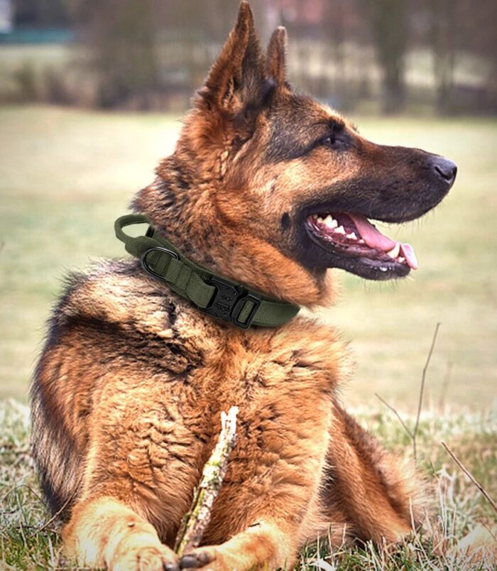 1352005c691b9fd6d26f7cac5214d339.jpg 1352005c691b9fd6d26f7cac5214d339.jpg