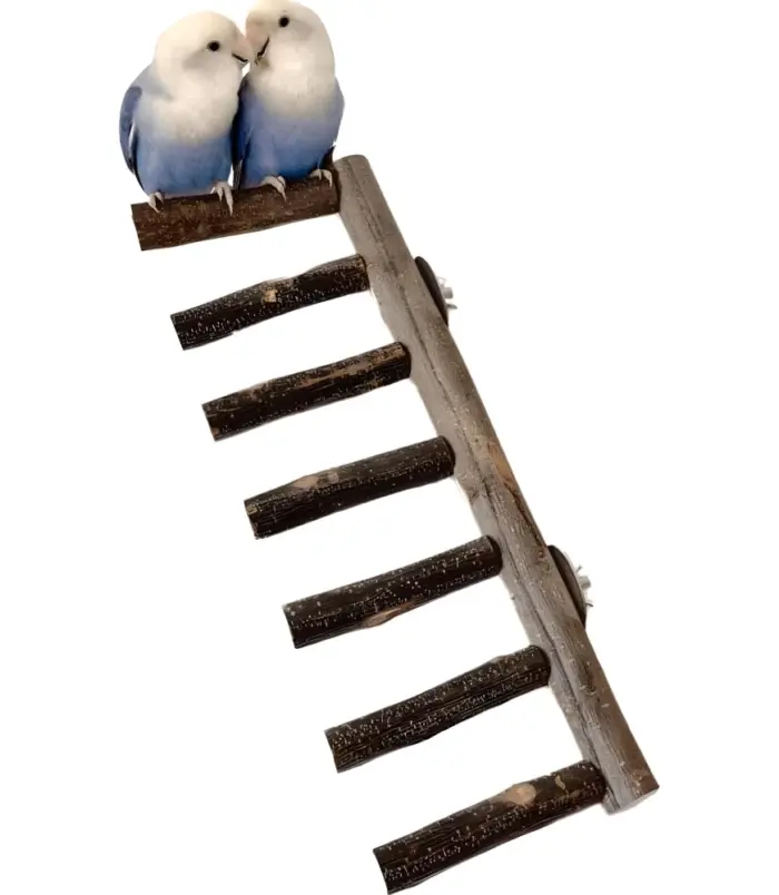 18676d93d3dac81ade885f634ebf4355.webp 18676d93d3dac81ade885f634ebf4355.webp