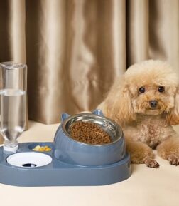 16° Tilted Stainless Steel Cat and Small Dog Feeder & Water Dispenser