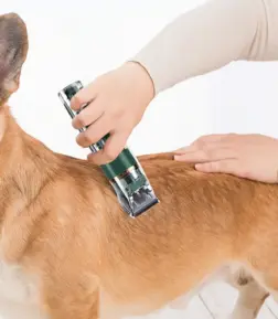 Pet Hair Trimmer