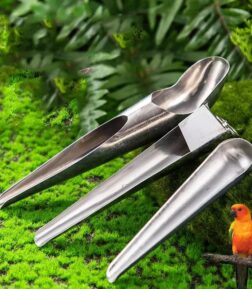 Stainless Steel Bird Food Adding Spoon