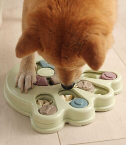 Interactive Feeding and Education Toy for Dogs and Cats