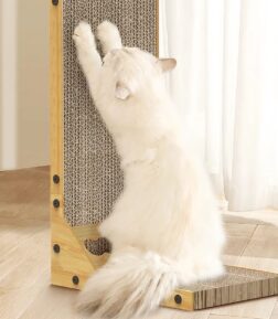 Cat Scratcher