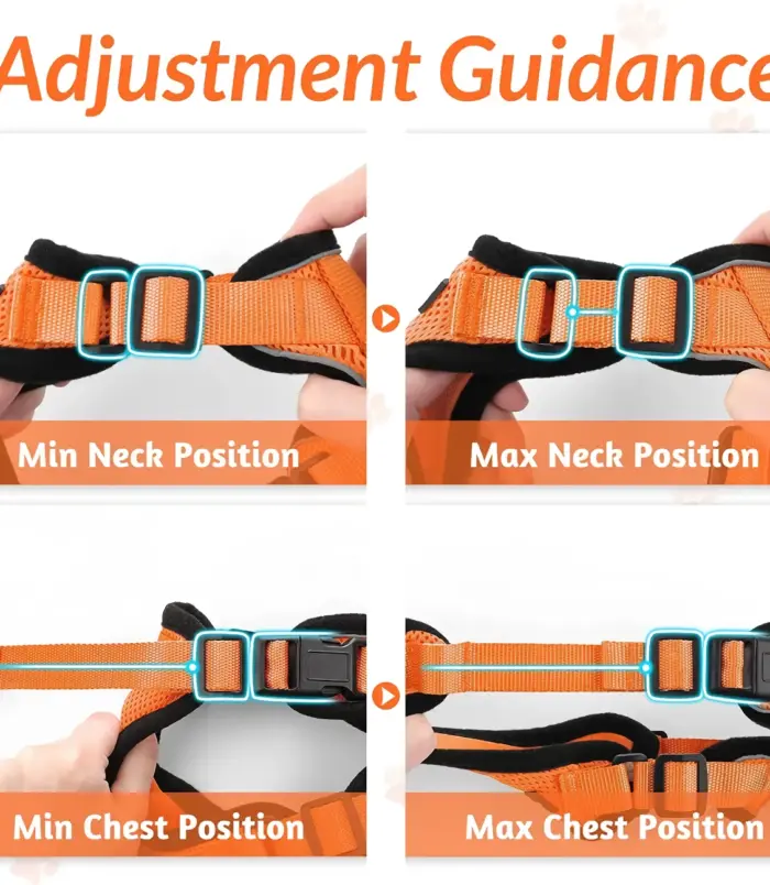 38a1732f674c084b95ff6e1d0503c26b.webp 38a1732f674c084b95ff6e1d0503c26b.webp