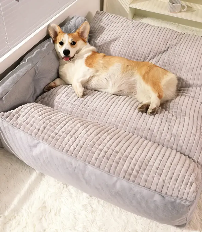 38b8fa32ea85c5c175c446a1345ccda7.webp 38b8fa32ea85c5c175c446a1345ccda7.webp