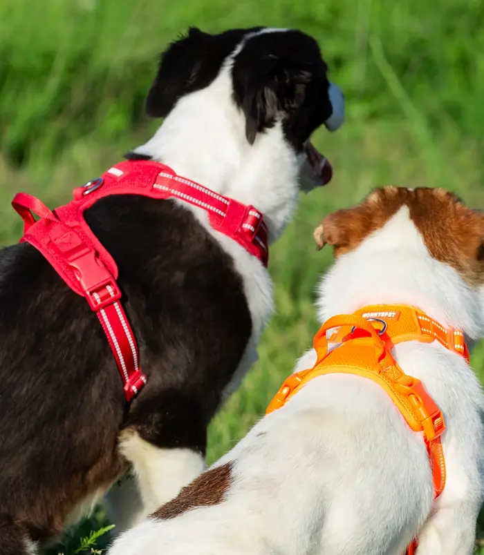 50633-2770b73a6081b09d3982ff61b89d468e.webp 50633-2770b73a6081b09d3982ff61b89d468e.webp