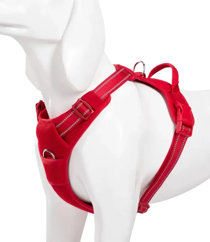 50633-f0d931212a96bbbb9813909ee23e2b34.webp 50633-f0d931212a96bbbb9813909ee23e2b34.webp