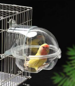 Transparent Parrot Bath Tub