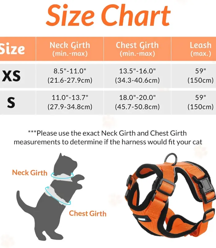 57aede10862d1583207125fce02e037d.webp 57aede10862d1583207125fce02e037d.webp