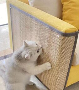 Durable Cat Scratcher Pad