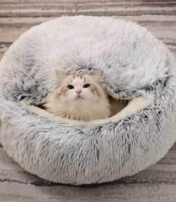 Cozy Round Plush Cat Bed