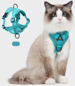 Adjustable Mesh Cat Harness and Leash Set