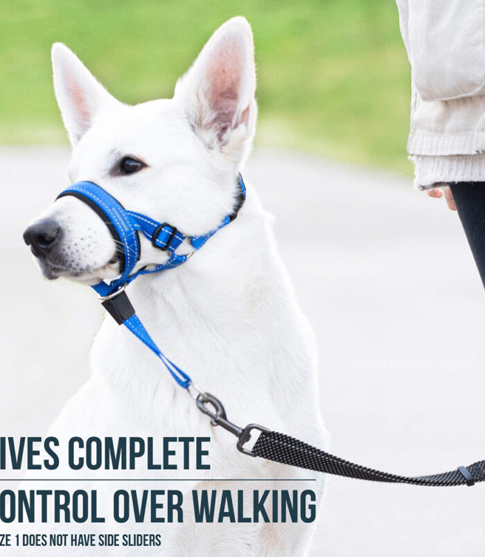 74b0829392d165704248ed8fff5539ed.jpg 74b0829392d165704248ed8fff5539ed.jpg