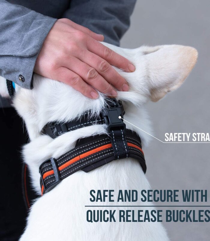 7600a876b91882eb86699412690956ae.jpg 7600a876b91882eb86699412690956ae.jpg