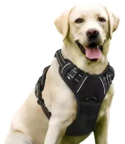 Reflective Adjustable Dog Harness and Leash Set