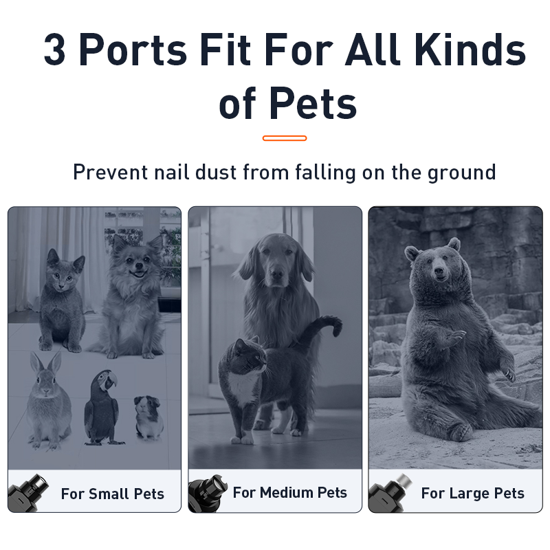 857053be0c284917ccc8555f882c17c2.png 857053be0c284917ccc8555f882c17c2.png