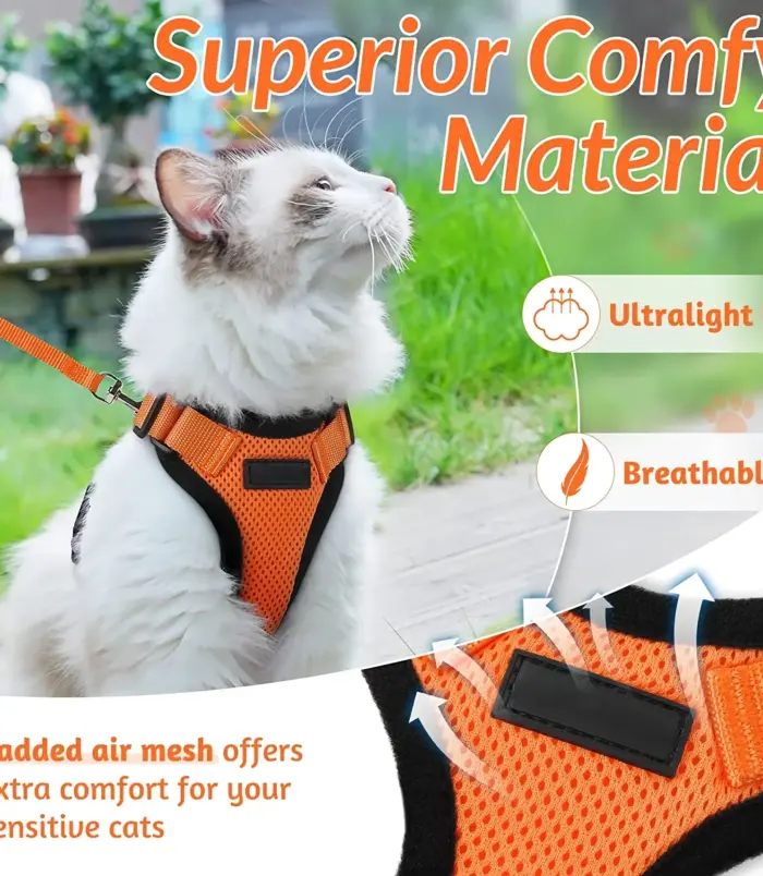 9e270b4bbceb498e9a06d2f23f393bd1.webp 9e270b4bbceb498e9a06d2f23f393bd1.webp