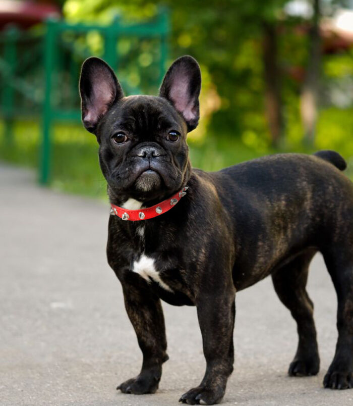 a0c627ea876c47988d2b03a0651a0f55.jpg a0c627ea876c47988d2b03a0651a0f55.jpg