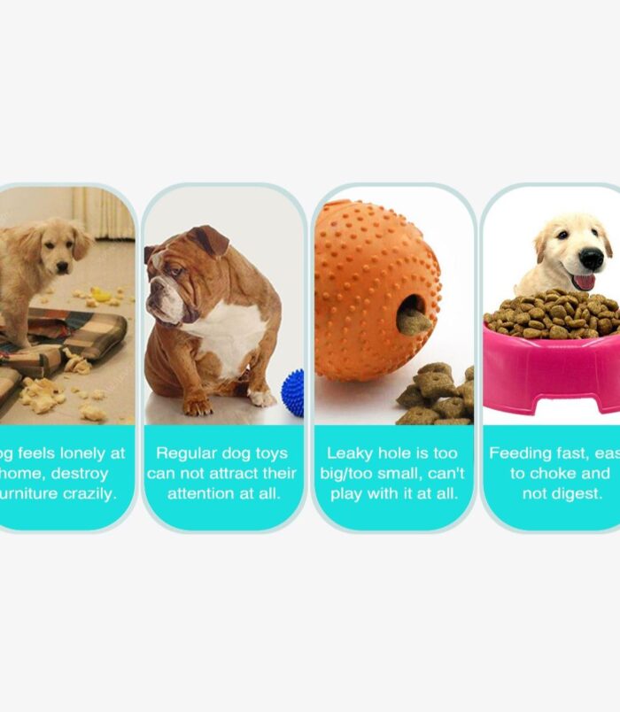 a38bbaba68c743d1ba8a50be0f987565.jpeg a38bbaba68c743d1ba8a50be0f987565.jpeg