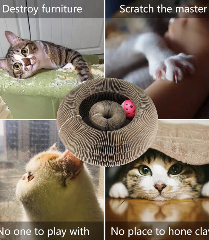 a488362a69a84157275de13088ceab08.jpg a488362a69a84157275de13088ceab08.jpg