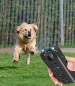 Ultrasonic Dog Trainer & LED Flashlight