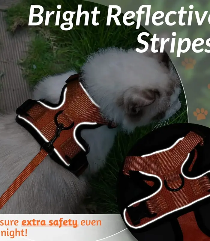 b1426e3fd62e92e58e65b7a5397820dc.webp b1426e3fd62e92e58e65b7a5397820dc.webp