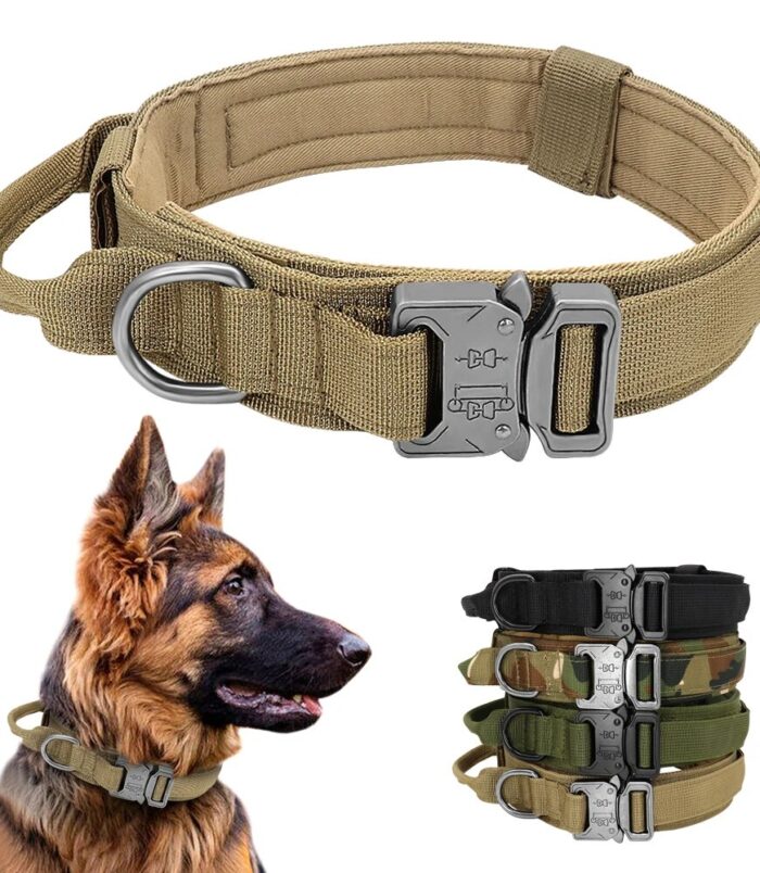 b3963c81acad22646a5df210212e5be8.jpg b3963c81acad22646a5df210212e5be8.jpg