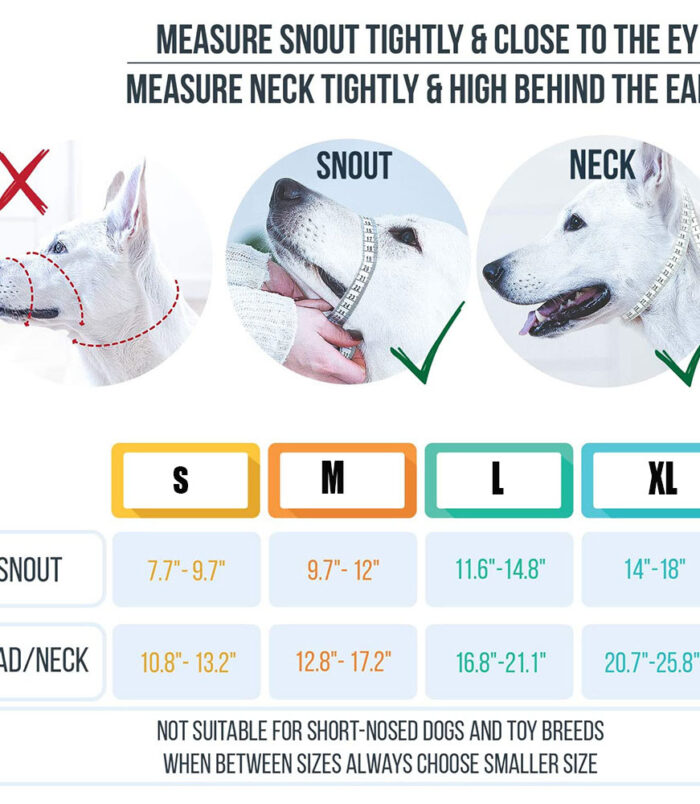 b64597cc8c972e87f0e7e3a46e01bdb6.jpg b64597cc8c972e87f0e7e3a46e01bdb6.jpg