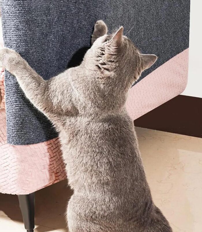 c060fccefea8c52c6447083d06632a6f.jpeg c060fccefea8c52c6447083d06632a6f.jpeg