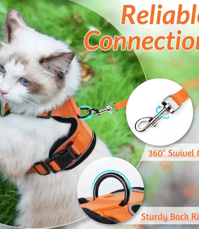 c3e684f700507c315a8c3839f5c8e3f5.webp c3e684f700507c315a8c3839f5c8e3f5.webp