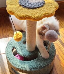 Compact Cat Climbing Frame with Sisal Scratching Post and Interactive Teasing Toys