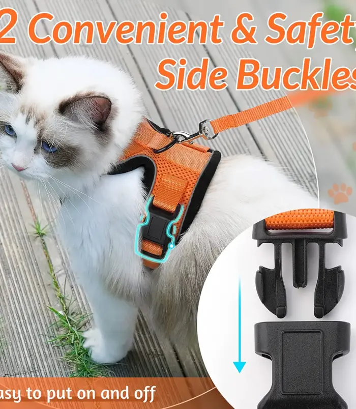 ca4253f33ebf8373490a566dadf0700c.webp ca4253f33ebf8373490a566dadf0700c.webp