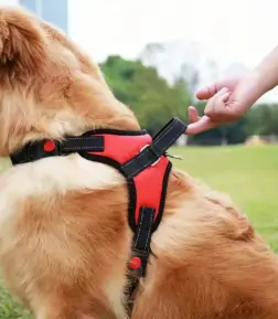 Dogbaby Adjustable Reflective Dog Harness Vest