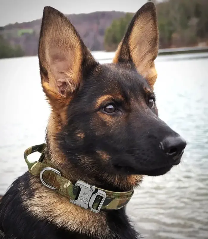 ce5c1a48e2812d049d6b156e5744233b.webp ce5c1a48e2812d049d6b156e5744233b.webp