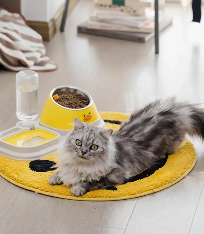 d9a5cd0928bb023ee4138c381fa96e70.webp d9a5cd0928bb023ee4138c381fa96e70.webp