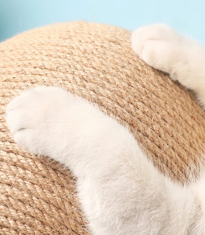 da03bbb856cbd0b8fe6f64d18372da98.jpeg da03bbb856cbd0b8fe6f64d18372da98.jpeg