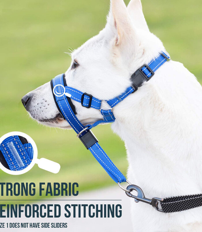 dbd17644ff08906c872614094fd4df6e.jpg dbd17644ff08906c872614094fd4df6e.jpg