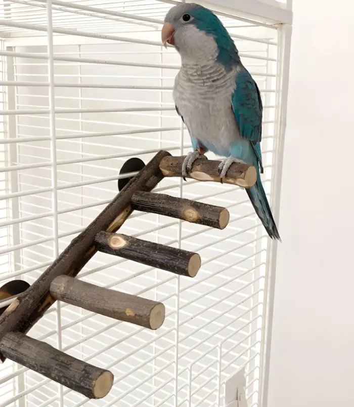 e54317163b8ae330a2d4b050dd87d7ca.webp e54317163b8ae330a2d4b050dd87d7ca.webp