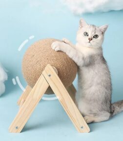 Cat Scratching Ball Toy