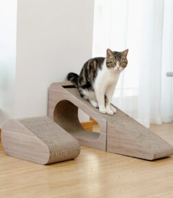 2-in-1 Cat Scratching Post with Detachable Scratch Pad
