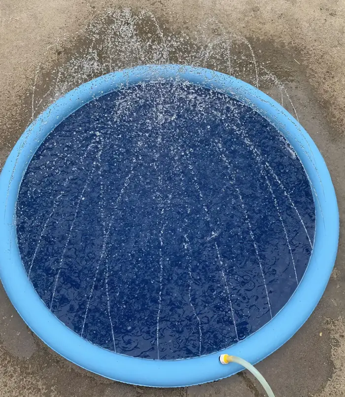 eb3f80432db72704da2af5f052313738.webp eb3f80432db72704da2af5f052313738.webp