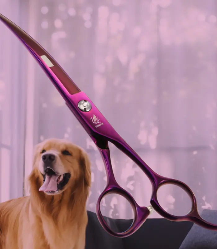 ef20e36de8c5c0ca65621aefbfb0993e.webp ef20e36de8c5c0ca65621aefbfb0993e.webp