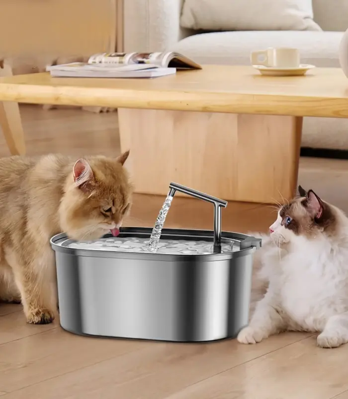 f44876bee83650f975f0f3efde5b0d3b.webp f44876bee83650f975f0f3efde5b0d3b.webp