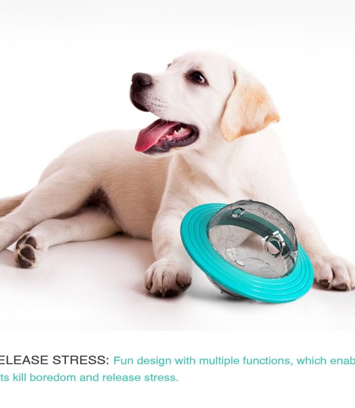 f49c35daea8dd627e2591c366220f09e.jpeg f49c35daea8dd627e2591c366220f09e.jpeg