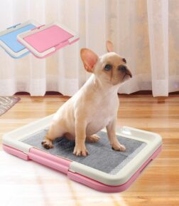 Portable Pet Toilet Tray