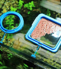 Premium Aquarium Feeding Ring