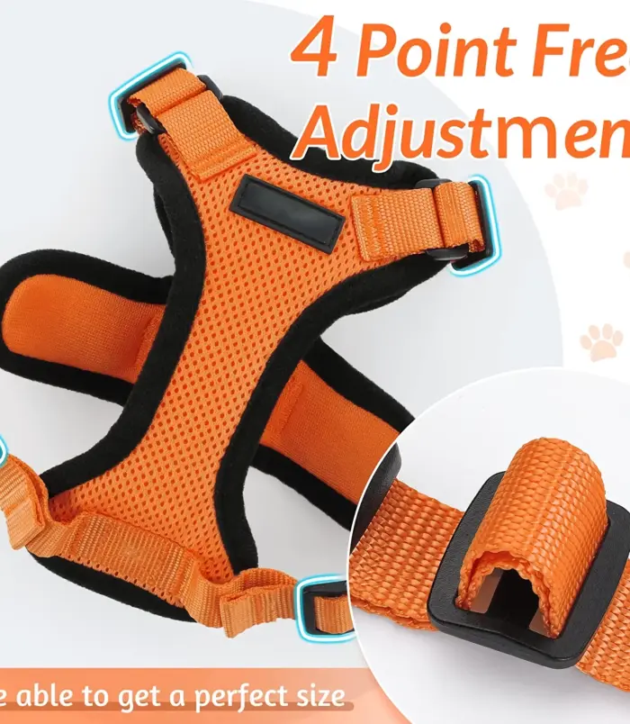 fe2fb629249cf24081d348619ff6979d.webp fe2fb629249cf24081d348619ff6979d.webp